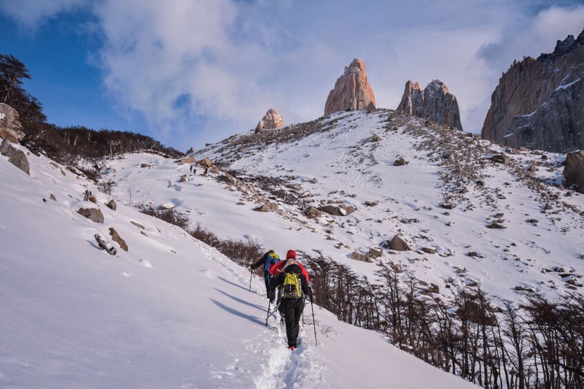 Full-Day Hiking Tour of Base of the Torres del Paine Towers