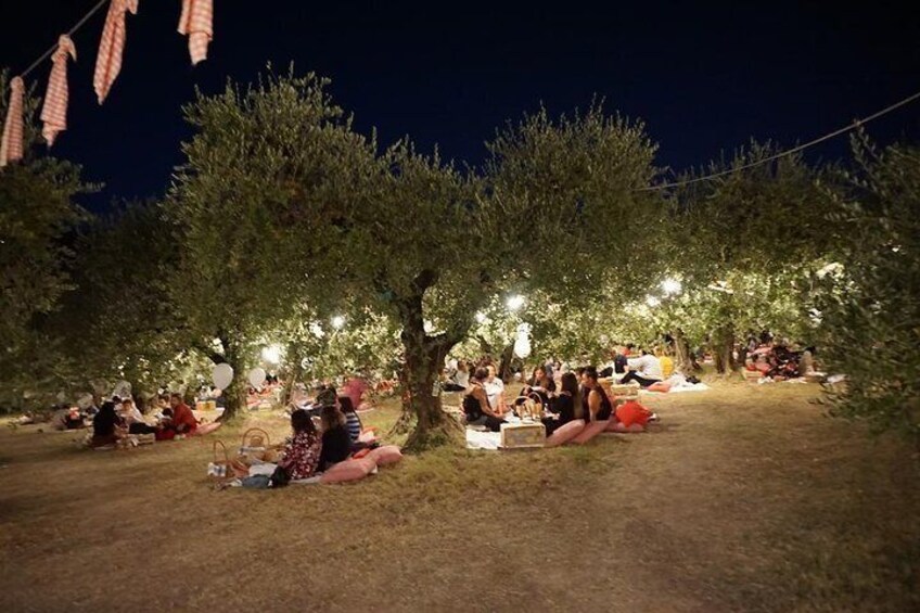 Umbria - Gourmet Picnic Among The Olive Trees
