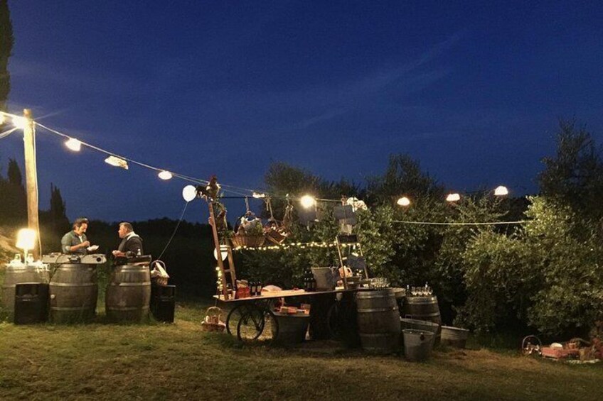 Umbria - Gourmet Picnic Among The Olive Trees