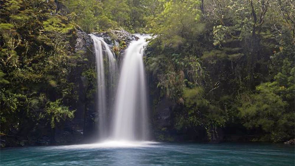 Petrohué Waterfalls Half-Day Tour