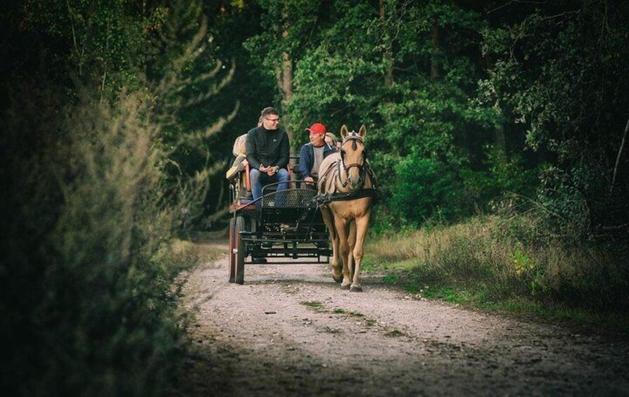 Vinyard Tour By Horse & Carriage With Delicious Tasting - Umbria