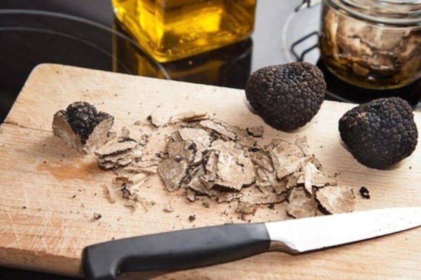 Truffle Hunting With Dog And Hunter, Food Tasting Included- Umbria, Italy