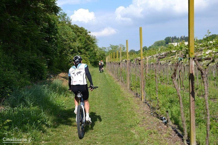 Mountain Bike Tour from Lazise to Verona