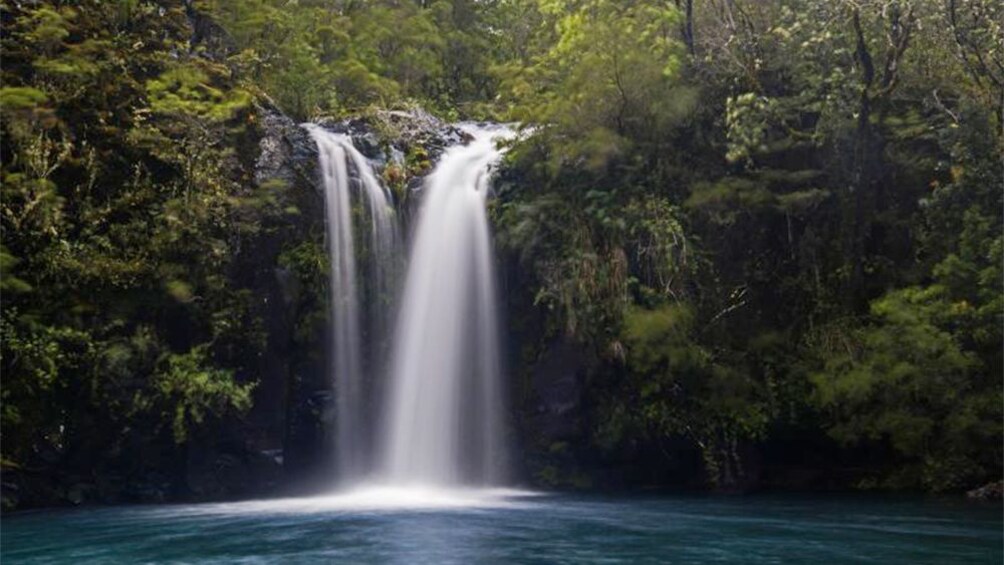 Small waterfall flowing into lake with trees in the distance.