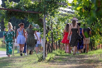 Weinkellertour und Verkostung von Garda-Weinen in Lazise