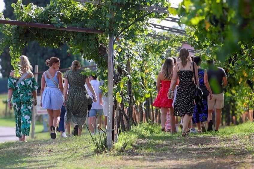 Winery Tour and Tasting of Garda Wines in Lazise