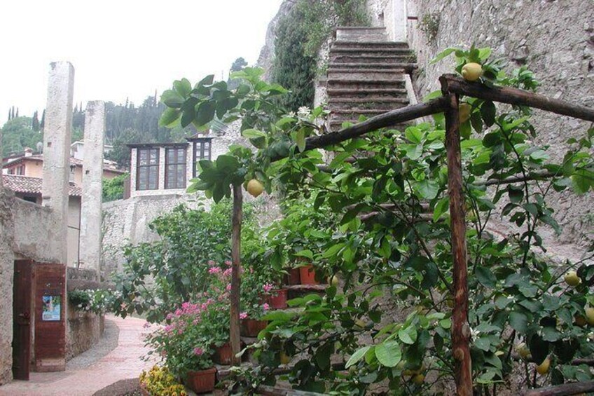 Show item 3 of 10. Guided tour in Limone Del Garda