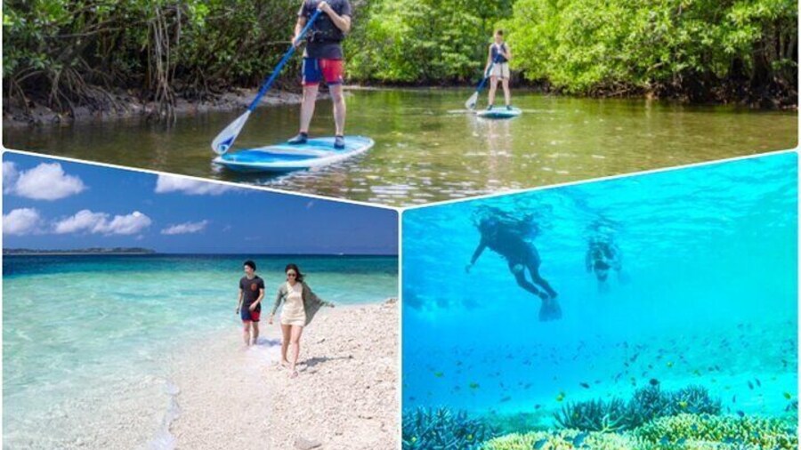 Okinawa Iriomote SUP or canoe and Barasu Island snorkeling tour
