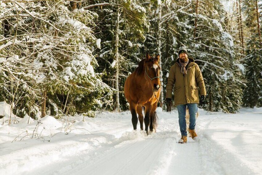 Horse walk