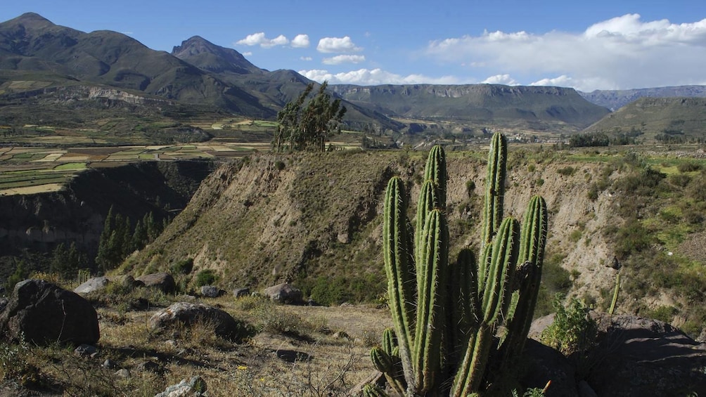 Colca Canyon from Lima