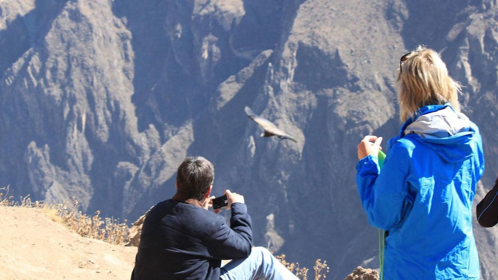 Tourists spot a condor flying around them