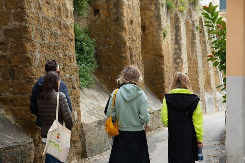 Panoramic historical walking tour of Naples: rich and poor areas