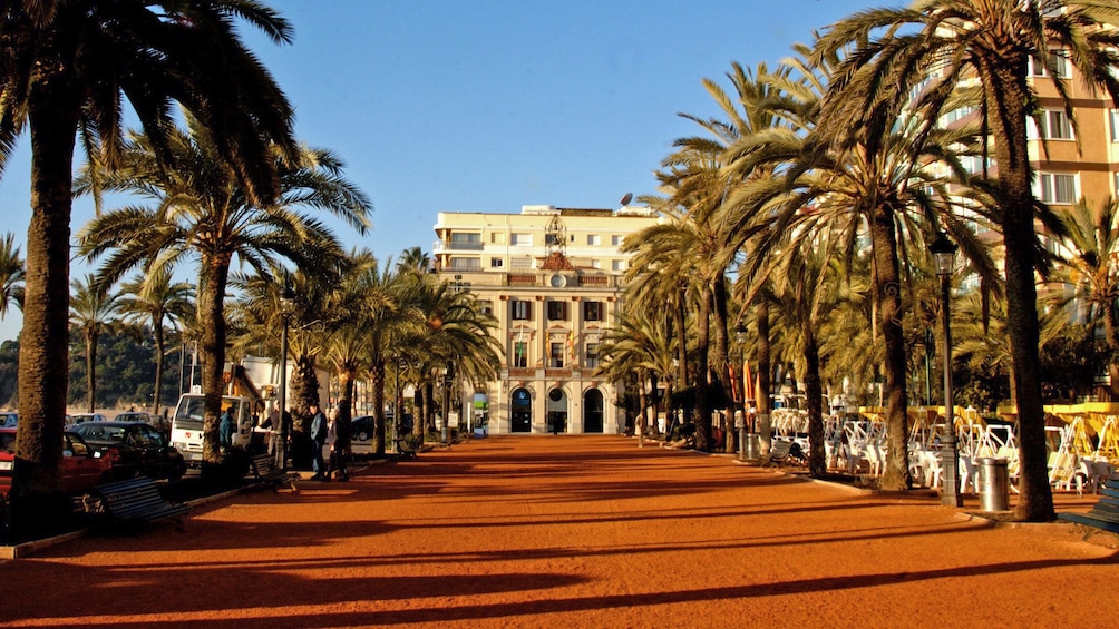 Palm trees line the walkway to a large building in Costa Brava