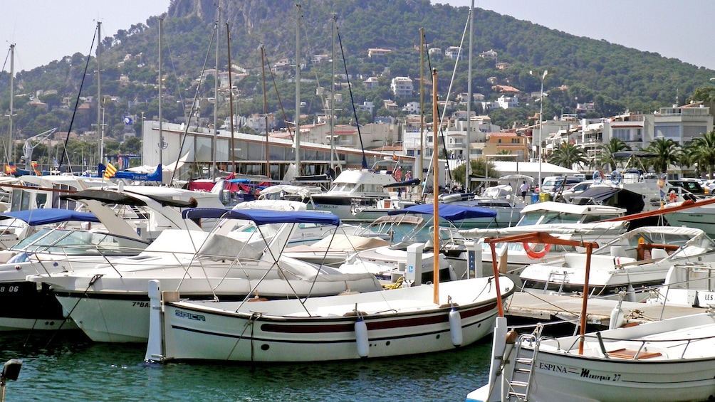 Boats in the harbor in Costa Brava