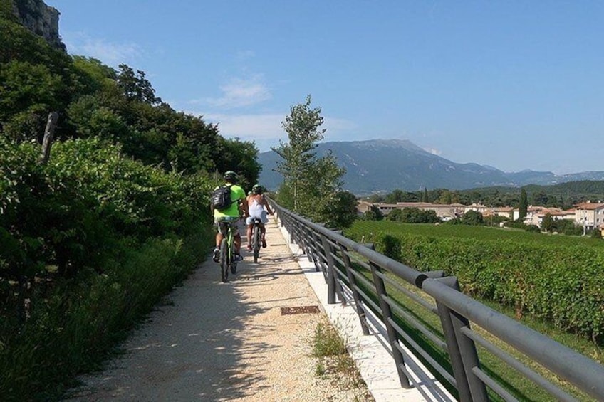 Bike Tour Bardolino Inland and Wine Tasting