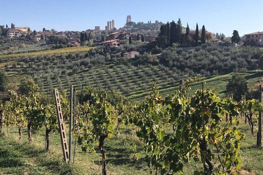 San Gimignano View
