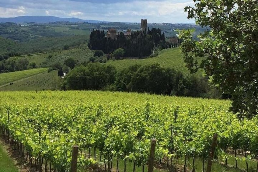 Chianti View