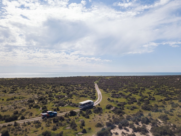 Valdes Peninsula & Whale or Seal Watching in Piramides