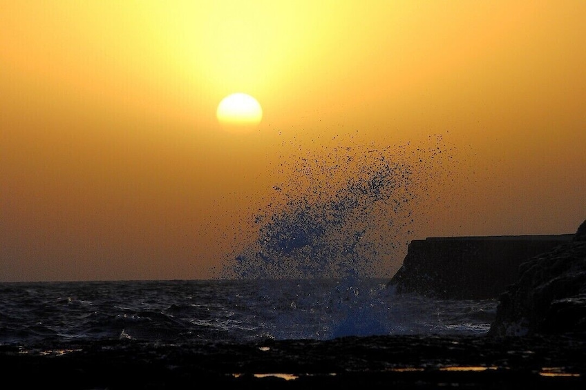 Valdes Peninsula & Whale or Seal Watching in Piramides