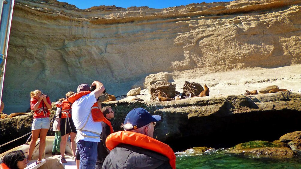 boat passengers taking photos of seals in Argentina