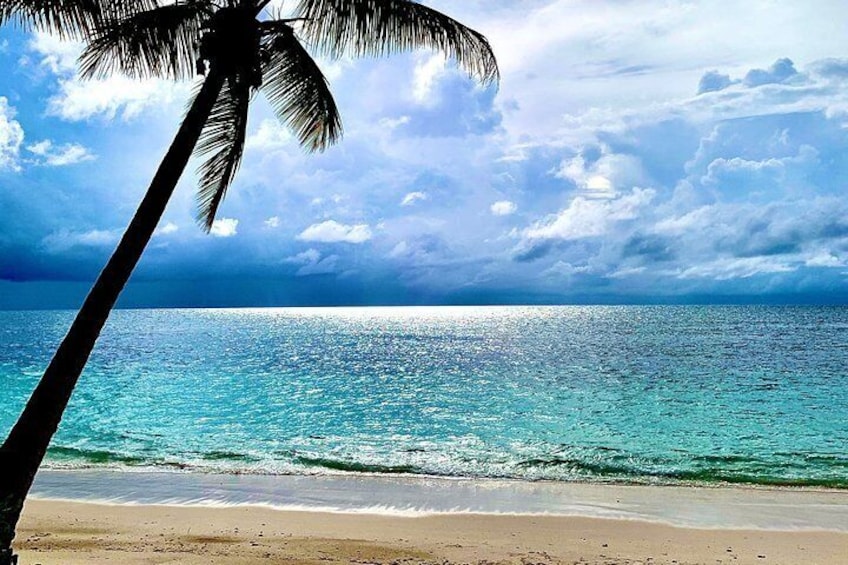 Seychelles Island Tour (PRIVATE 4 hours or 8 Hours)