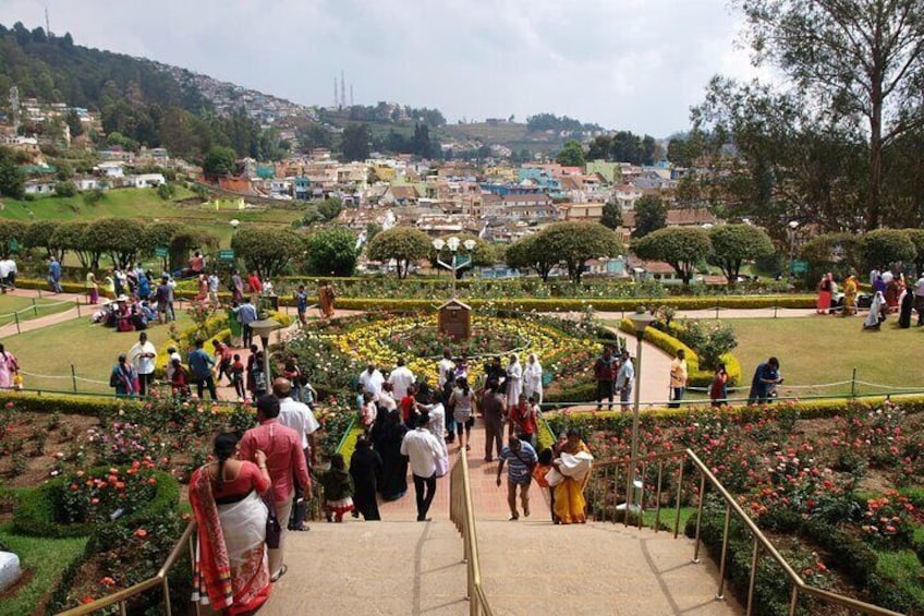 Coimbatore to Ooty- transfers+Hotel+Sightseeing