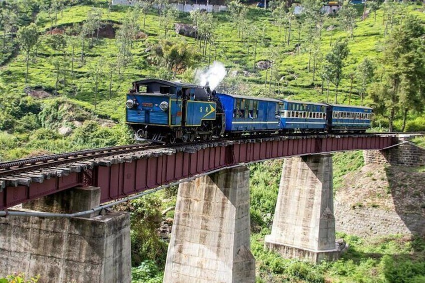 Coimbatore to Ooty- transfers+Hotel+Sightseeing
