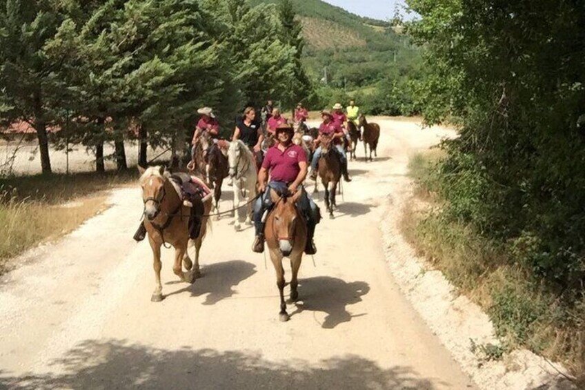 Day Trip: Gubbio guided tour with lunch and Horseback Ride with tasting