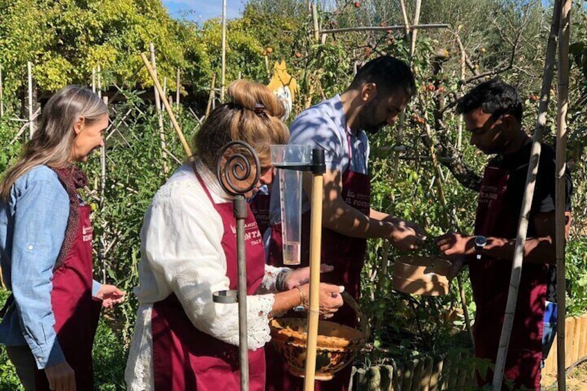 Organic Cooking class with a wine and oil sommelier in an Olive and wine farm