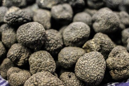 Private Truffle Hunting in Chianti