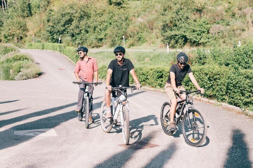 Bike tour and wine tasting from Siena