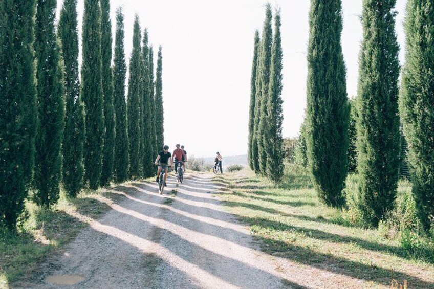 Bike tour and wine tasting from Siena