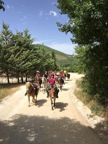 Umbria - Horse Riding Through The Wonderful Valleys Of Umbria, Lunch Included