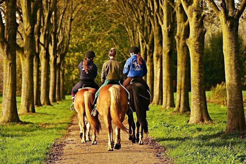 Umbria - Horse Riding Through The Wonderful Valleys Of Umbria, Lunch Included