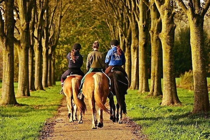 Umbria, Horseback riding in the Umbrian countryside with lunch