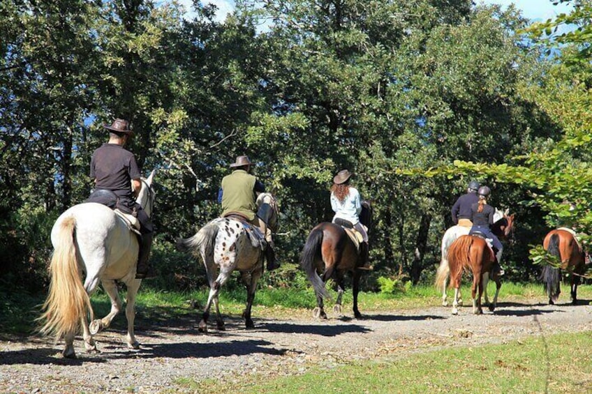 Umbria - Horse Riding Through The Wonderful Valleys Of Umbria, Lunch Included