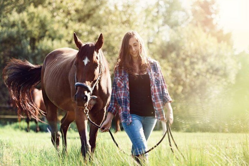 Umbria - Horse Riding Through The Wonderful Valleys Of Umbria, Lunch Included