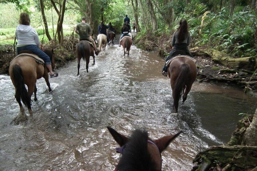 Umbria - Horse Riding Through The Wonderful Valleys Of Umbria, Lunch Included