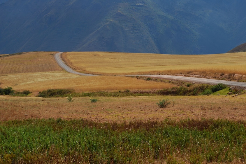 Full Day Moray and Salt Mines of Maras with buffet lunch