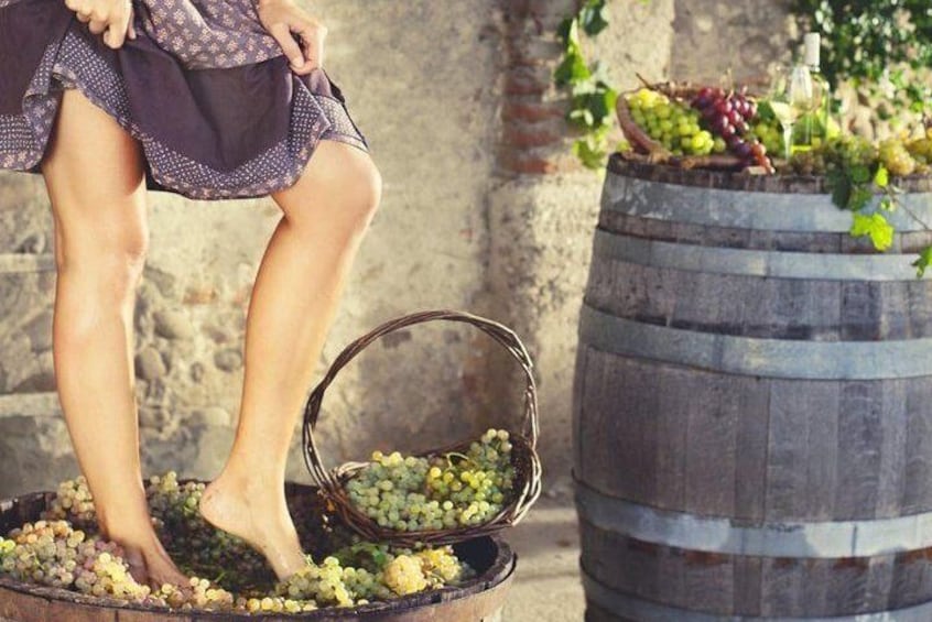 grape stomping