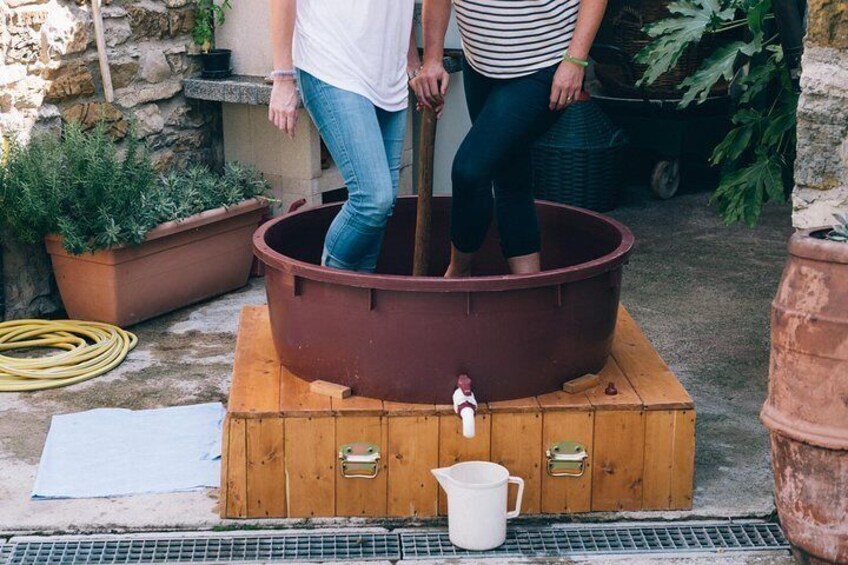 Grape stomping in Tuscan farmhouse