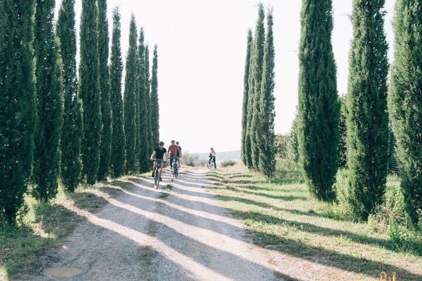 Bike tour in Tuscany with wine tasting