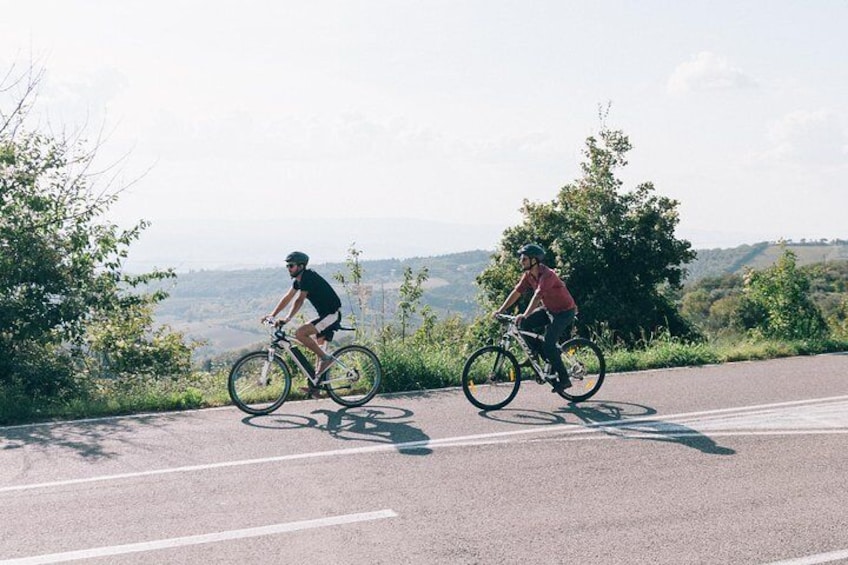 Bike tour in Tuscany with wine tasting