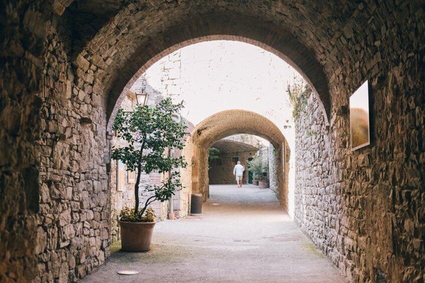 Bike tour in Tuscany with wine tasting