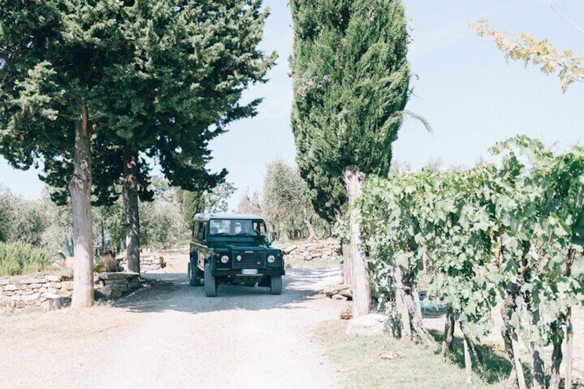 Off Road Wine Tour in Tuscany from Siena