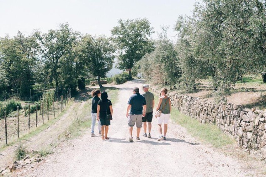 Off Road Wine Tour in Tuscany from Siena