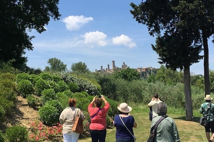 Pisa, Volterra and San Gimignano Private Tour from Florence