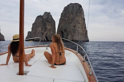 Tour privato in barca di mezza giornata a Capri da Capri (4 ore)
