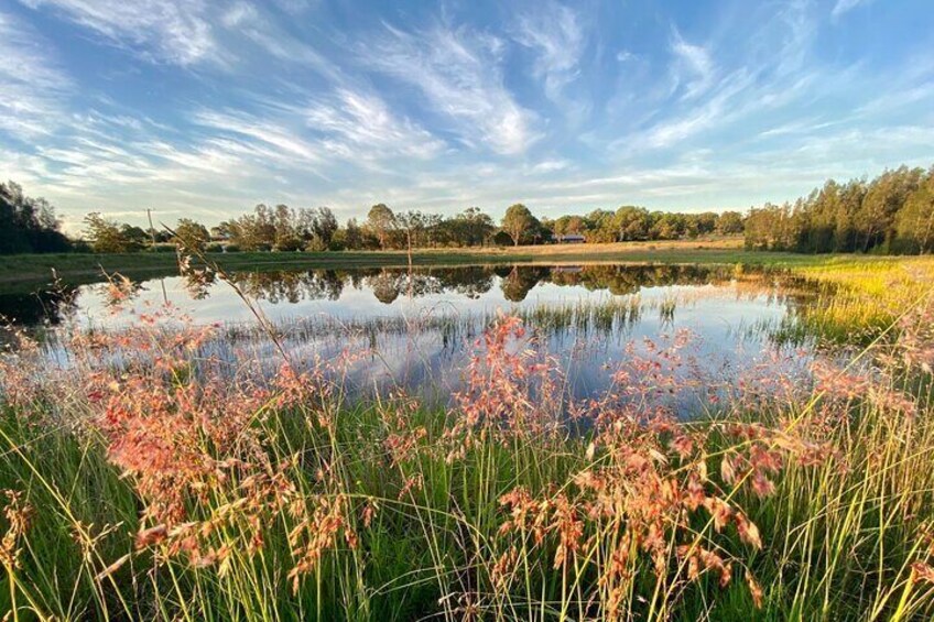 Private Full-Day Wine Tour in Hunter Valley