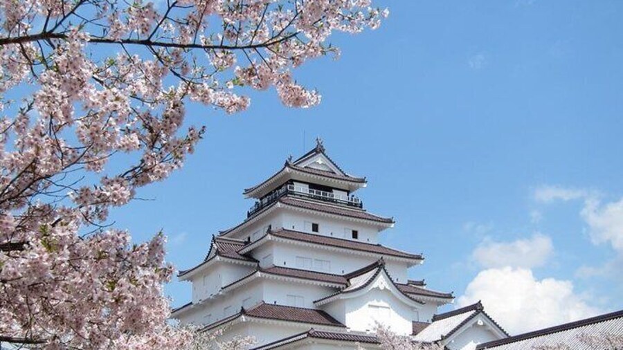 Aizu Half-Day Private Trip with Nationally-Licensed Guide